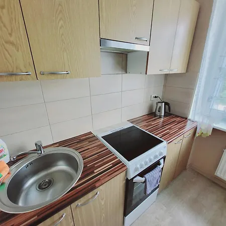 The Comfortable 탈린