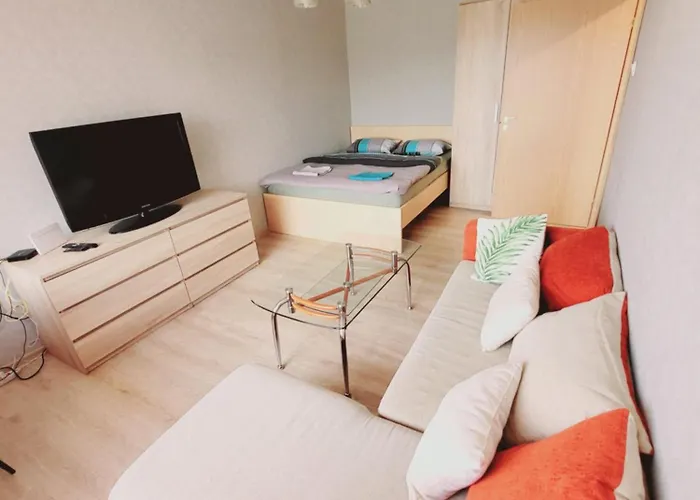 Lägenhet The Comfortable Tallinn